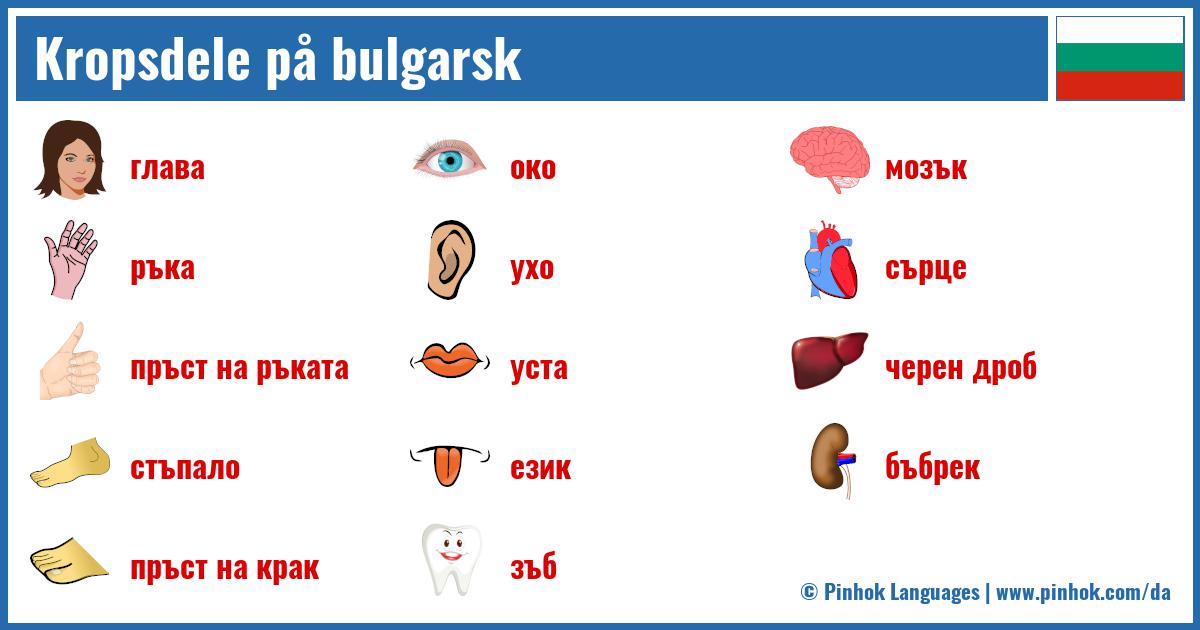 Kropsdele på bulgarsk