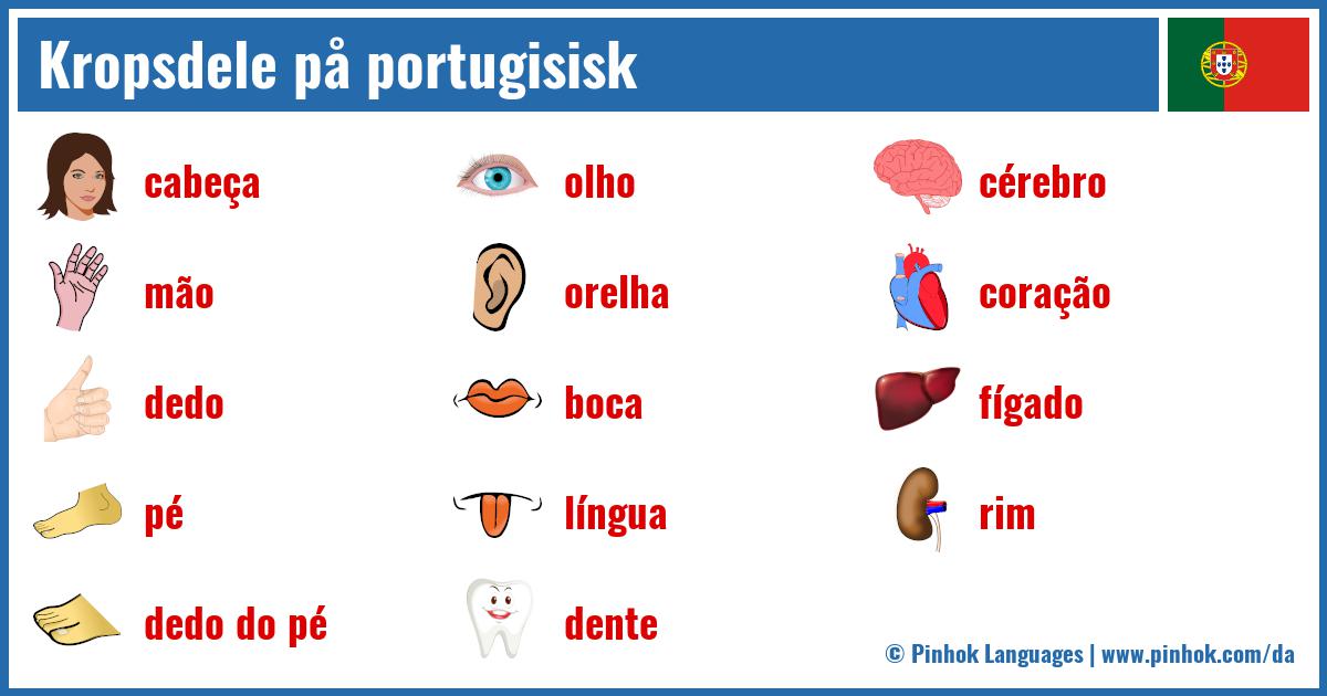 Kropsdele på portugisisk