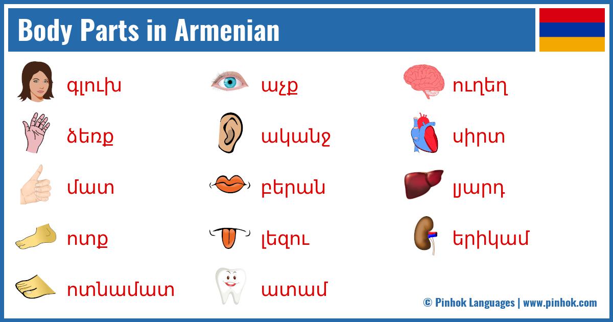 Body Parts in Armenian