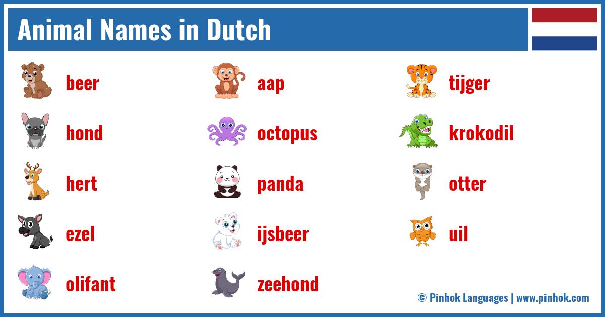 Animal Names in Dutch