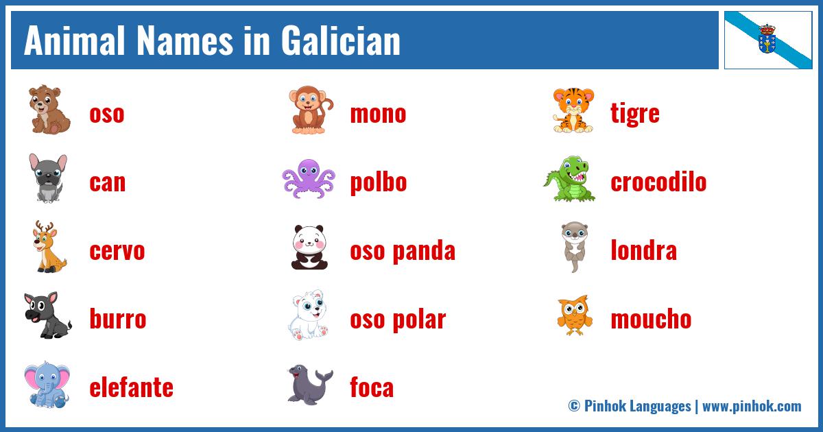 Animal Names in Galician