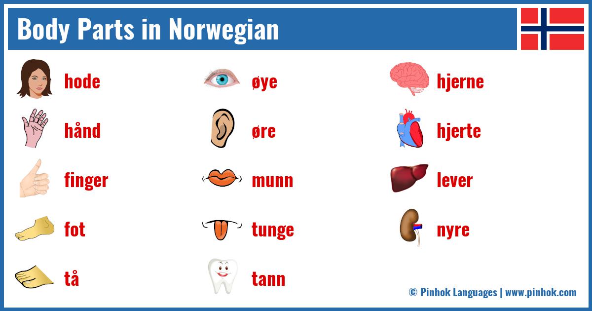 Body Parts in Norwegian