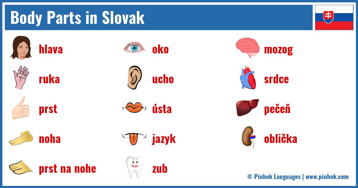 Body Parts in Slovak