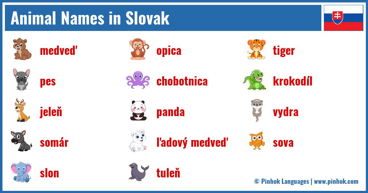 Animal Names in Slovak